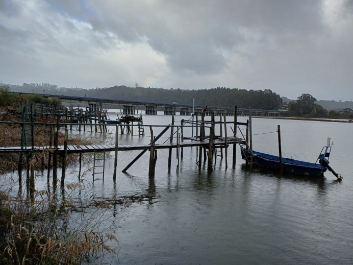 La Coordinadora Ecoloxista vuelve a exigir la veda de la pesca de la angula en Asturias