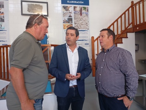 El Principado mantiene el límite de 30 días en la campaña de pesca de la angula para favorecer la sostenibilidad