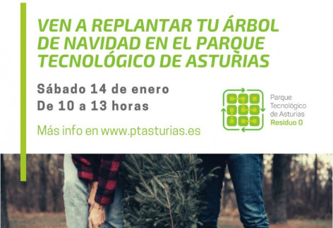 Replanta tu árbol de Navidad en el Parque Tecnológico de Asturias