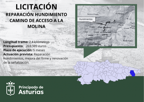 Fomento saca a licitación la reparación de hundimientos en el camino de acceso a La Molina, en Cabrales
