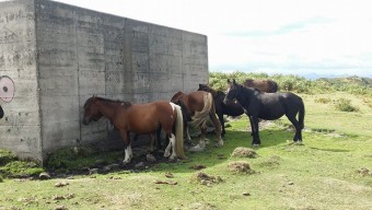 El Centro de Interpretación Sierra del Sueve continuará abierto en Septiembre