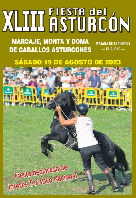 XLIII Fiesta del Asturcón