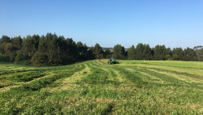 El Gobierno de Asturias aumenta este año en más de 30 millones las ayudas al medio rural a través de la Política Agraria Común