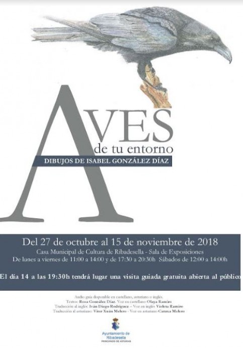 Exposición aves de tu entorno