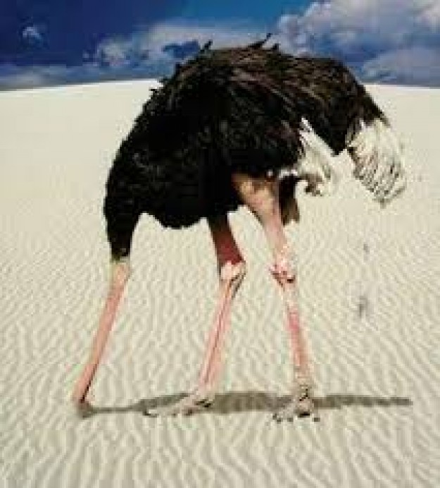 El avestruz, por Carlos Ortíz de Zárate