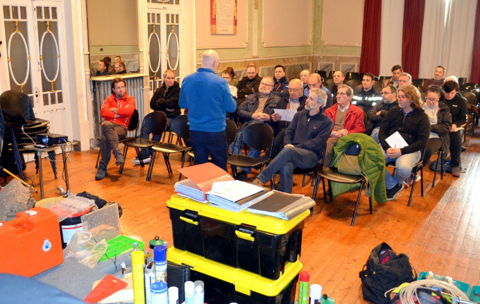 Llanes, nueva campaña contra la avispa asiática