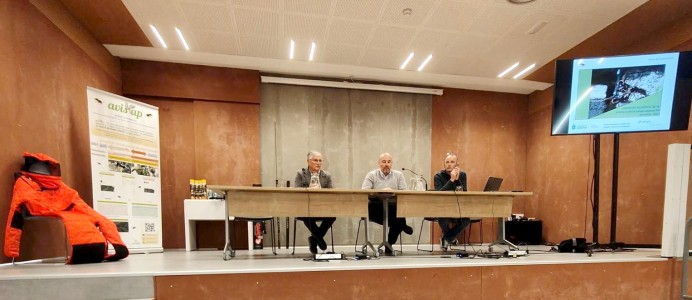 Asturias capturó más de 109.000 reinas de avispa asiática en 2025 con un despliegue de 5.500 trampas en 61 concejos