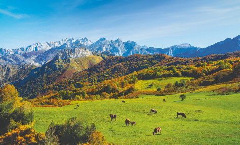 Asturias contará por primera vez con ayudas directas para apoyar a ganaderos y agricultores frente a la sequía
