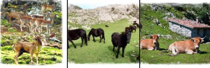 Omar Pardo: Bichos en el Puertu