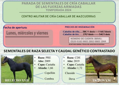 Villaviciosa participa en el circuito de inseminación para yeguas durante el mes de abril