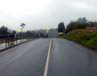 Caballos en la carretera