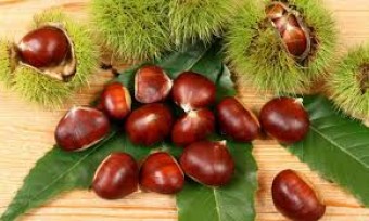 XXIV Certamen de la castaña en Arriondas