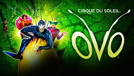 OVO en Gijón: llega El Cirque du Soleil a Asturias