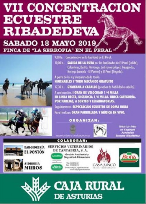 VII Concentración Ecuestre de Ribadedeva 2019