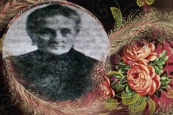 MEMORIA HISTORICA (también...)