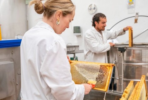 El COPAE llevará a BioCultura Madrid los productos ecológicos más representativos de Asturias