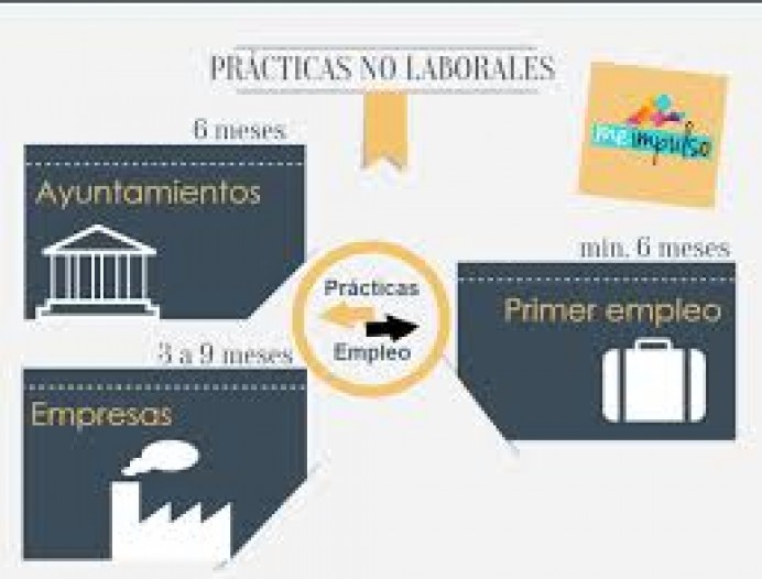 Programa de Contratos de trabajo en prácticas 2016/2017