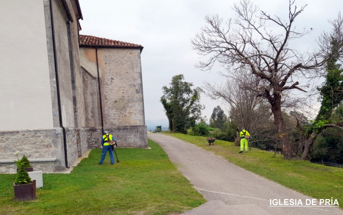 Plan de Desbroce y Plan de Limpieza Concejo Llanes