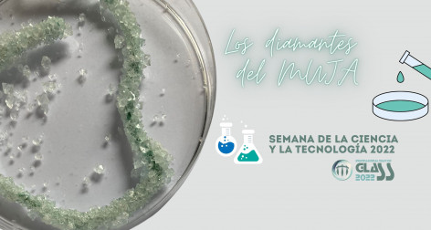 Semana de la Ciencia y la Tecnología en el Museo del Jurásico de Asturias