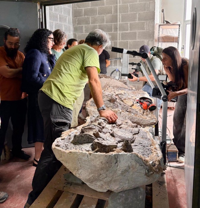 El MUJA invita al público a poner nombre al gran dinosaurio hallado en los acantilados de Ribadesella