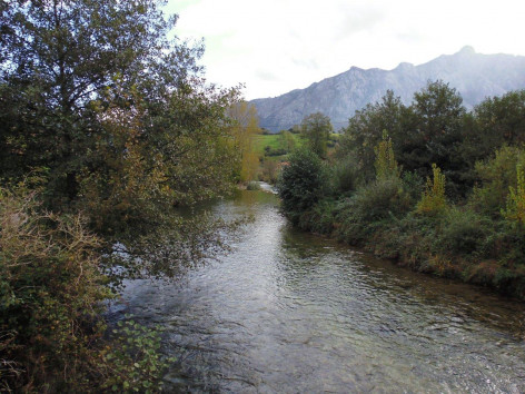Ecologistas de Asturias: Siguen los vertidos al río Casaño de una lecheria de Asiego en Cabrales