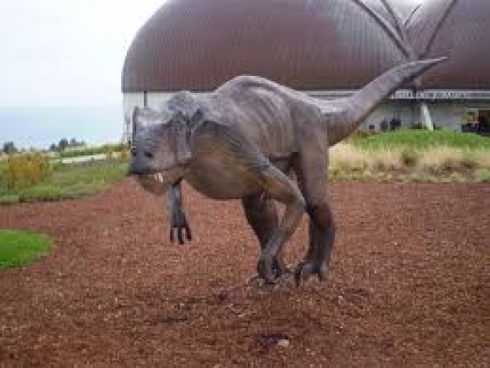 El MUJA celebra el Día Internacional de la Mujer y la Niña en la Ciencia