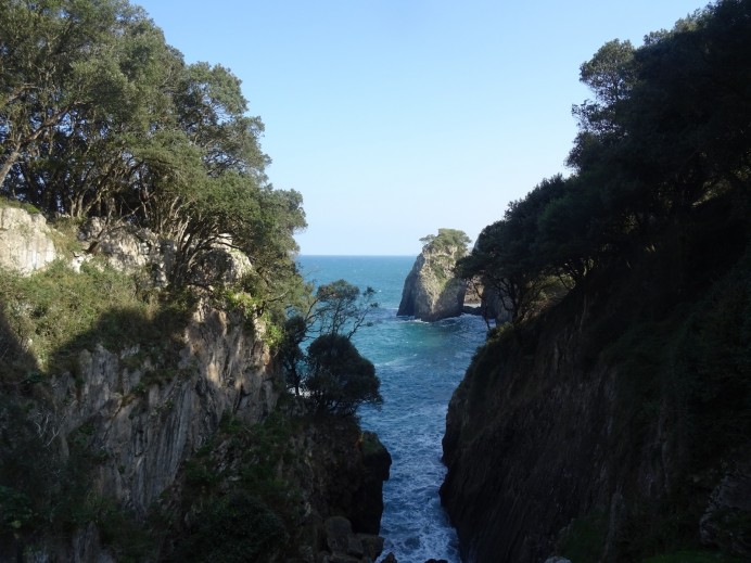 Ecologistas de Asturias: Nos preocupa mucho el futuro de la cueva prehistórica del Pindal