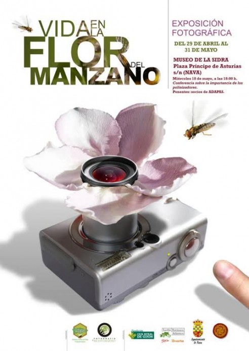 Charla sobre los polinizadores del manzano