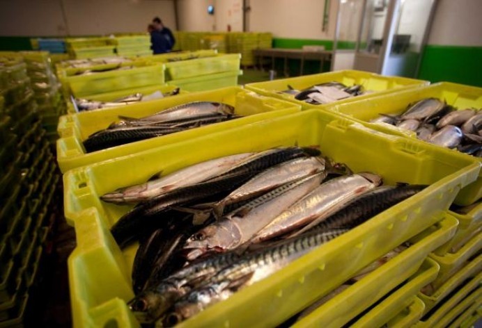 Cuentas del I Festival de la Xarda