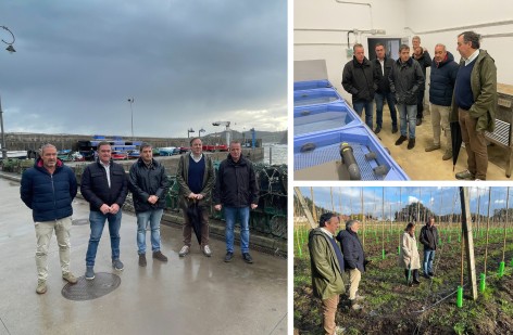 Medio Rural moviliza más de cinco millones en fondos Leader para la Comarca de la Sidra hasta 2027