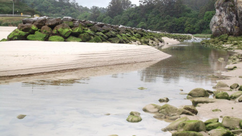 Ecologistas de Asturias: La playa de la Franca en Ribadedeva de nuevo cerrada por la contaminación de sus aguas