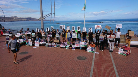 PACMA convoca un segundo acto internacional contra la granja de pulpos de Nueva Pescanova