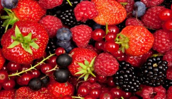 Cursillos sobre Frutos Rojos y Kiwi