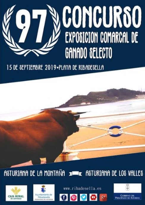 97 Concurso Ganado de Ribadesella