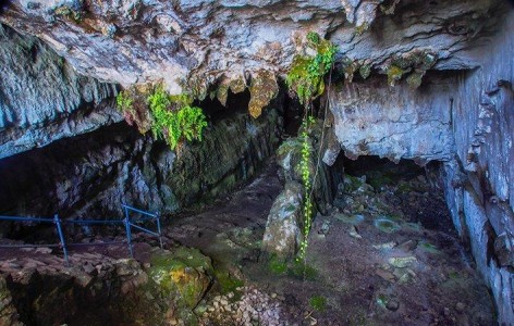 Cultura cierra de manera provisional a las visitas la cueva de El Pindal, en Ribadedeva, tras detectar la presencia de gas radón