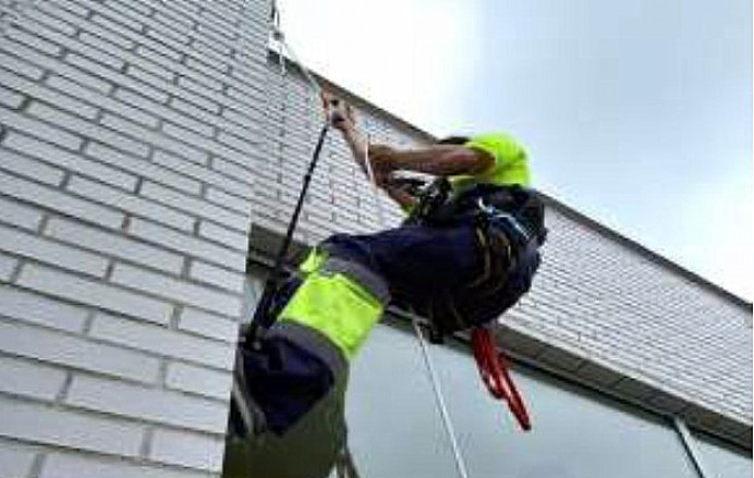 Fin segundo control gaviotas casco urbano de Llanes