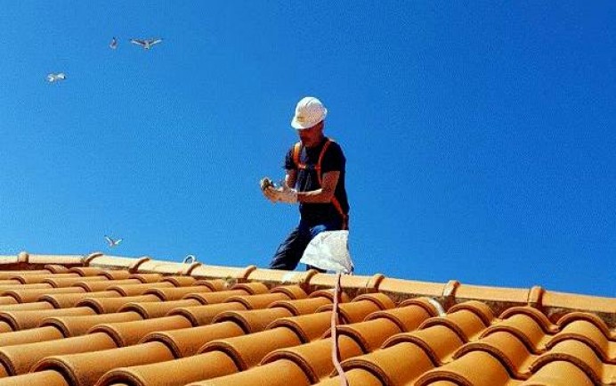 Casco urbano de Llanes, control gaviota patiamarilla