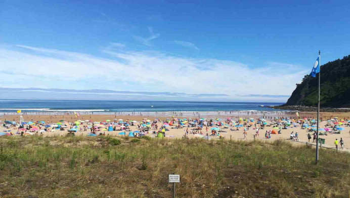 IU pide medidas para salvaguardar sanitaria y medioambientalmente Rodiles