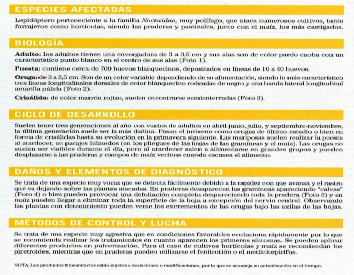 Aviso de presencia masiva de orugas defoliadoras de gramineas