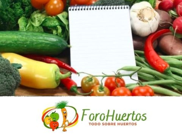 Enero: planifica tu huerta