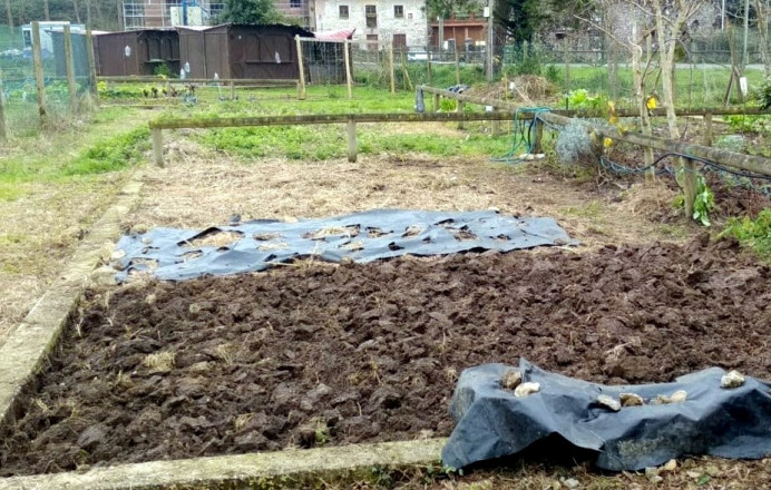 Plazo inscripciones para adjudicación de 3 huertos urbanos