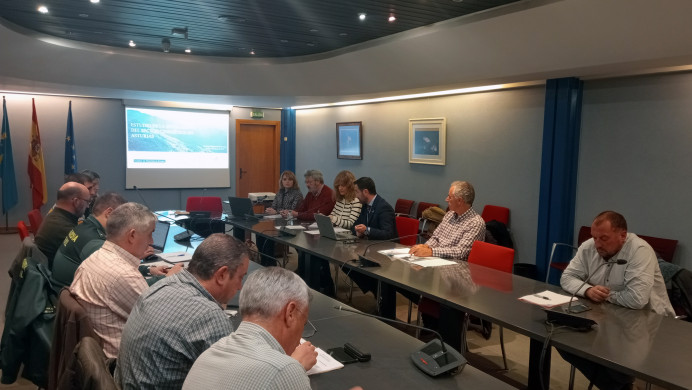 El Gobierno de Asturias propone incrementar la presión cinegética sobre el jabalí durante la temporada 2023 2024