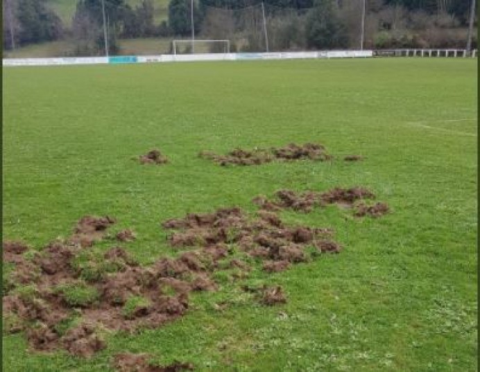 Los jabalíes visitan Santianes
