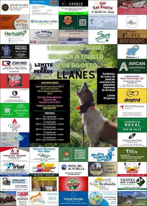 I Concurso de jabalí salvaje a traílla en Vibañu el sábado