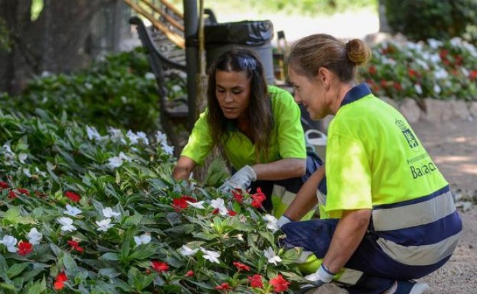 NP DEL PP DE VILLAVICIOSA: El Principado deniega a Villaviciosa el programa de empleo Actívate para el 2018