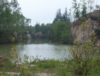 Limpieza lago L'Enguilu