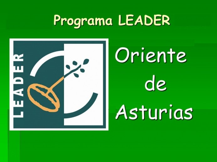 Información sobre Ayudas Leader