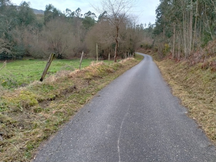 Limpiezas y desbroces de caminos en pueblos