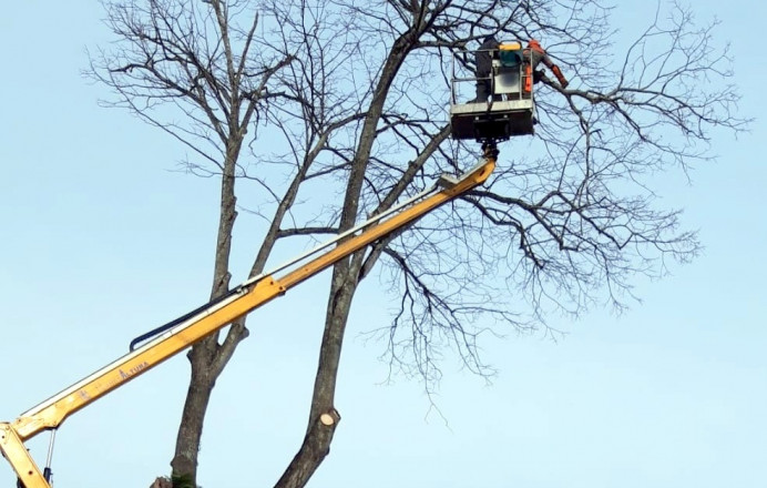 Limpieza de Pueblos: El Mazucu, Pendueles y Posada La Vieja
