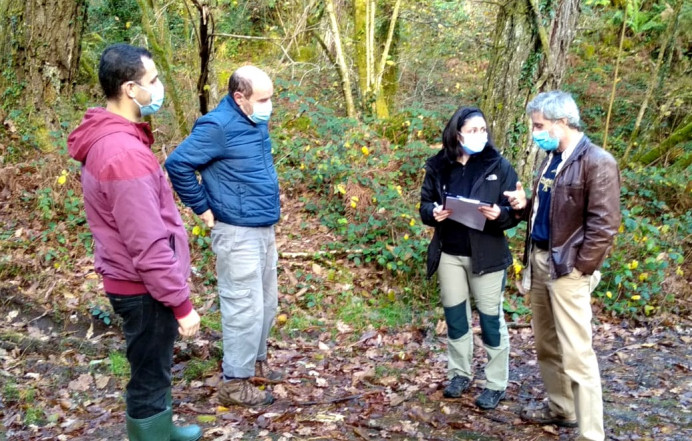 Proyecto mejora camino Llamigu al Barracón, monte Río Nueva